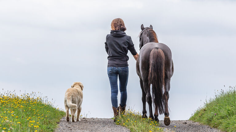 Frau geht mit ihrem Hund und ihrem Pferd auf einem Feldweg spazieren. Der Blick auf die Frau in die Tiere ist von hinten.