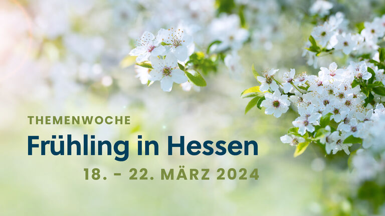 Titelbild für Themenwoche "Frühling in Hessen" mit Datum (18.-22.März 2024).Im Hintergrund die Blüten eines Kirschbaums.