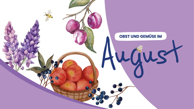 Schmuck-Titelbild für Saisonkalender August