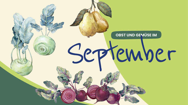 Saisonkalender