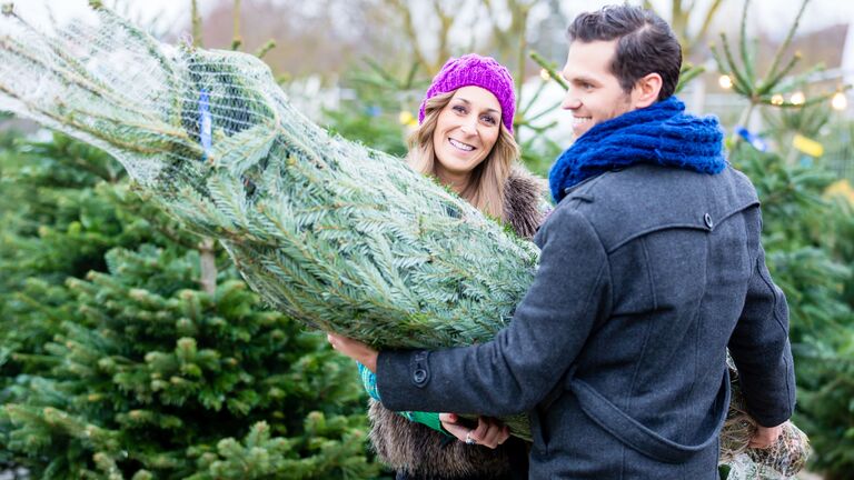 Paar holt einen Weihnachtsbaum beim Weihnachtsbaumhändler