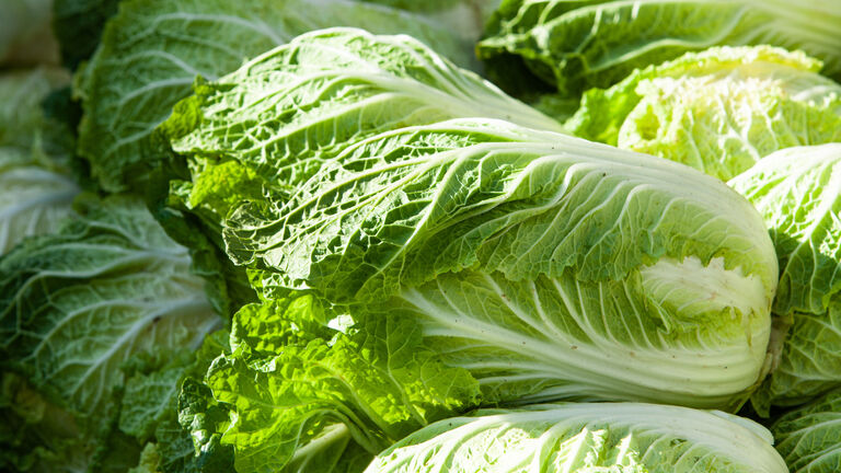 Verschiedene Köpfe Chinakohl aufeinander