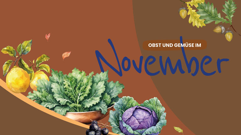 Titelbild für den Saisonkalender im November. grafische Darstellung mit Schriftzug November. Abgebildet ist ein Rotkohl, ein Grünkohl und Quitten.