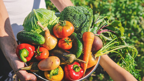 Haben Sie schon von der Solidarischen Landwirtschaft gehört? Eine Schüssel mit unterschiedlichem Gemüse wird von einer Person zu einem Kind weitergereicht