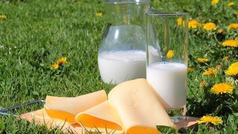 Milchflasche und Trinkglas mit Milch gefüllt und vier Scheiben Käse auf einer Wiese