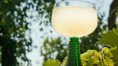 Federweißer im Römerglas