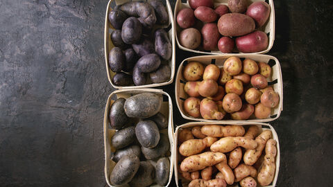 Verschiedene Kartoffelsorten