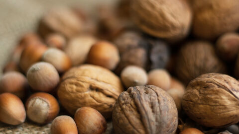 Eine Handvoll Wal- und Haselnüssen