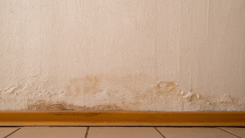 Schimmel an Fußleiste und Wand