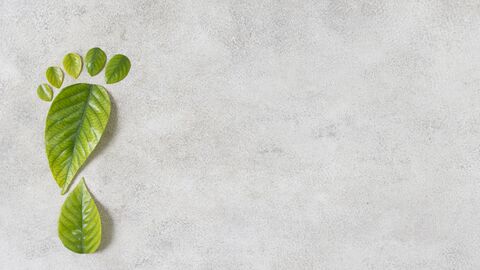 Ein Fußabdruck aus Blättern gebildet