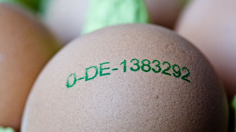 Erzeugercode auf einem Ei