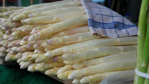 Weißer Spargel an einem Marktstand, teilweise mit einem Handtuch abgedeckt