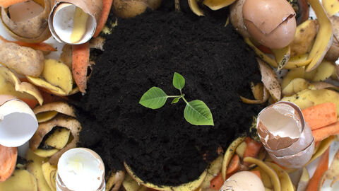 Kompost um einen Haufen Erde