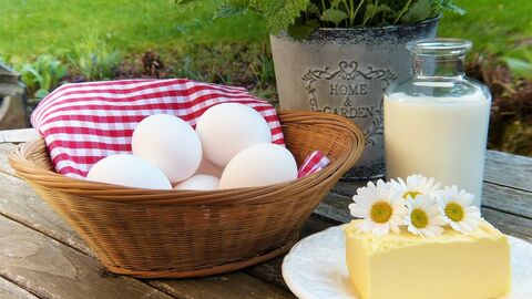 Eier in einem Korb, Butter dekroiert mit Gänseblümchen auf einem Teller und mIlch in einer Glaskaraffe