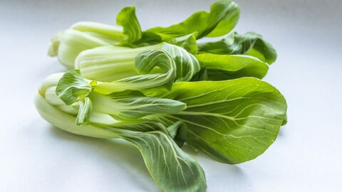Pak Choi