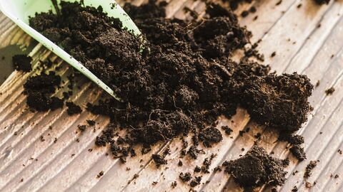 Eine Gartenschaufel mit schwarzer Erde