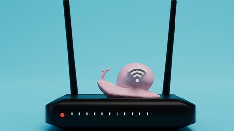 Schnecke auf einem Router