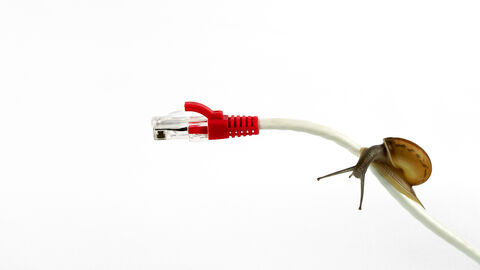 Eine Schnecke kriecht über ein Netzwerkkabel