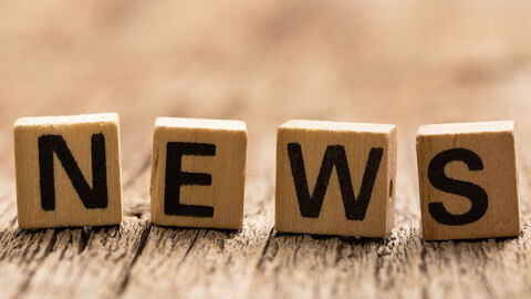 Kleine mit Buchstaben bedruckte Holzwürfel bilden das Wort News