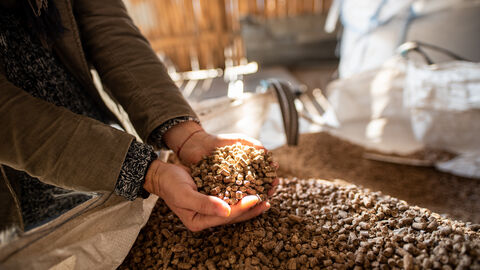 Hände halten Holzpellets