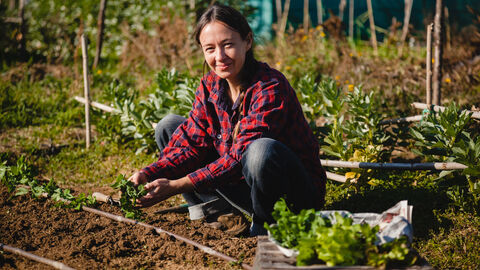 Frau hockt im Beet und pflanzt Setzlinge ein