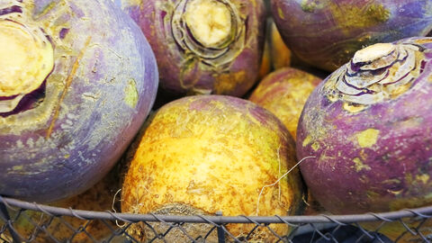 Steckrüben liegen in einem Drahtkorb
