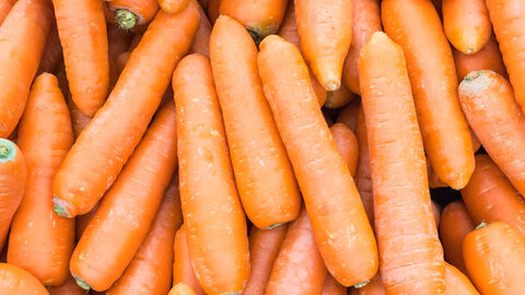 Viele Möhren ohne Grün