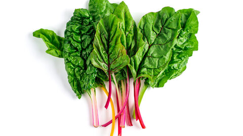 Einige geerntete Mangoldblätter mit roten und gelben Stielen