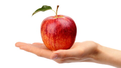 Auf einer geöffneten Hand liegt ein roter Apfel mit einem Blättchen am Stiel