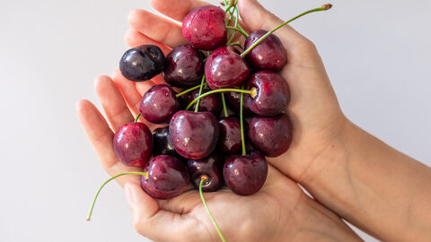 Zwei Hände Kirschen 