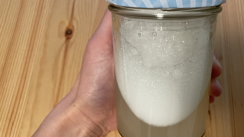 Rosskastaniensud in einem Schraubglas