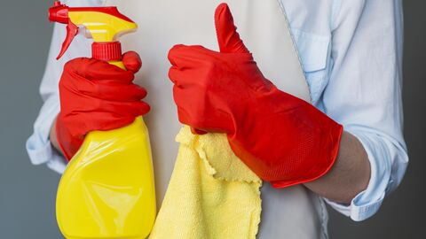 Putzhandschuhe Eine Person mit Putzschürze, Putzhandschuhen, Sprühflasche und Lappen in den Händen zeigt einen Daumen hoch.