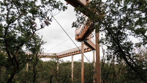 Ein Holzsteg auf hohen Holzstelzen schlängelt sich durch die Baumkronen bei Bad Camberg.