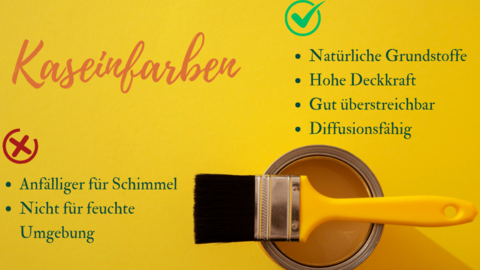 Gegenüberstellung der Vor- und Nachteile von Kaseinfarben: Natürliche Grundstoffe, Hohe Deckkraft, Gut überstreichbar, Diffusionsfähig versus Anfälliger für Schimmel, Nicht für feuchte Umgebung. Als Schmuckelement ist ein Pinsel auf einer Farbdose abgebildet