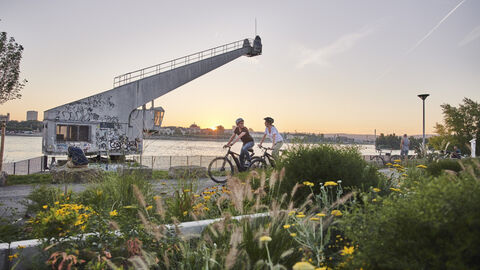 Zwei Radfahrer radeln entlang des Mainradwegs bei Sonnenuntergang