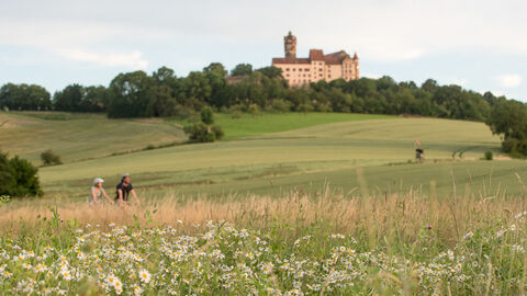 Zwei Radfahrer fahren durch blühende Wiesen. Im Hintergrund sieht man die Burg Ronneburg auf einem Hügel.