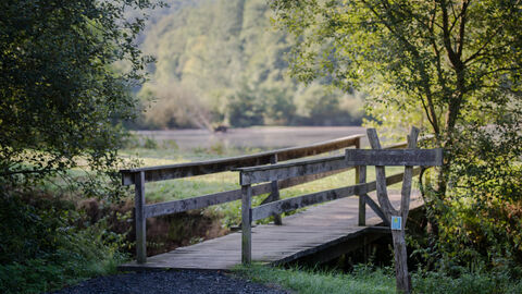 Eine Holzbrücke führt Wanderer über die wildromantischen Hirschbornteiche bei Bad Soden-Salmünster im Spessart.