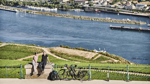 Zwei Radfahrer machen Rast auf einer Radtour durch die Weinberg im Rheingau. Im Hintergrund fließt der Rhein.