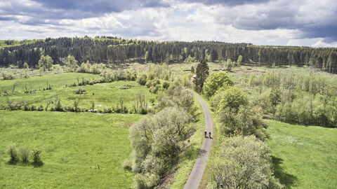 Eine weite Landschaft bestehend aus Wiesen und Wäldern erstreckt sich entlang des Vulkanradwegs.