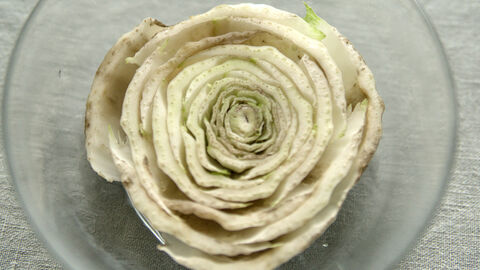 Der Chinakohl weist in seinem Glas deutliche braune Stellen an der Schnittkante auf. Das weist darauf hin, dass der Kohl langsam verfault.