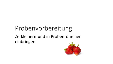 Eine Erdbeere und die Kapitelüberschrift: Probenvorbereitung - Zerkleinern und in Probenröhrchen einbringen