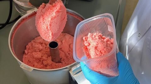 Entnahme der Erdbeerenmasse aus dem Zerkleinerer mit einem Löffel in die Probenschale Entnahme der Erdbeerenmasse aus dem Zerkleinerer mit einem Löffel in die Probenschale