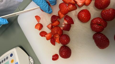 Erdbeeren werden von Hand vorgeschnitten Erdbeeren werden von Hand vorgeschnitten