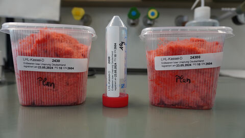 Zwei Probenschalen mit Erdbeeremasse und ein leeres Probenröhrchen Zwei Probenschalen mit Erdbeeremasse und ein leeres Probenröhrchen