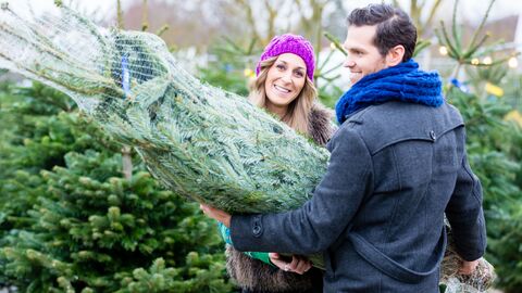 Paar holt einen Weihnachtsbaum beim Weihnachtsbaumhändler