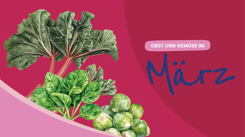 Schmuckbild für den Verbraucherfenster Saisonkalender: Aquarelle von Rhabarber. Rosenkohl und Mangold inkl. Schriftzug Saisonkalender März