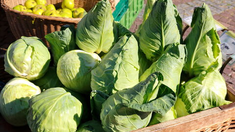 Spitzkohlköpfe liegen in einem Weidenkorb. Im Hintergrund sieht man einen weiteren Weidenkorb mit Quitten und einen leeren grünen Kunsstoffkorb.