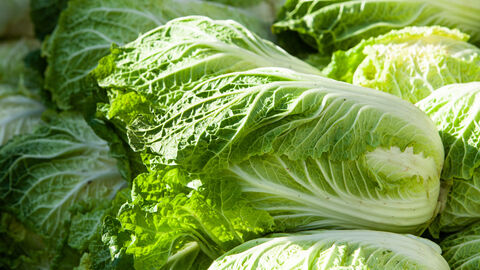 Verschiedene Köpfe Chinakohl aufeinander